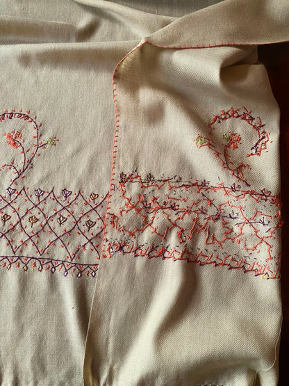 Pashmina Color stole